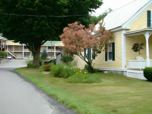 Ludlow Colonial Motel - image 3