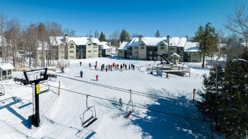 Winterplace on Okemo Mountain - image 6