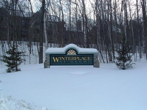 Winterplace on Okemo Mountain - image 7