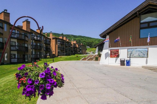 Okemo Mountain Condo - image 10