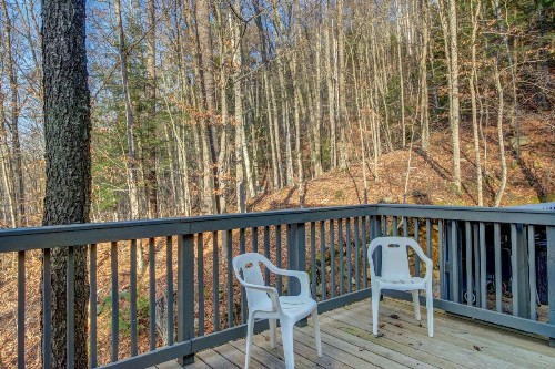 In The Trees - image 9