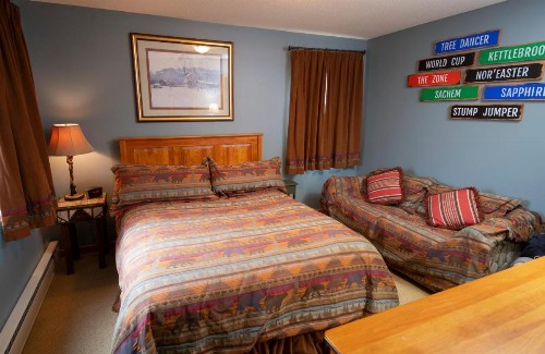 Okemo Mountain Lodging - image 24