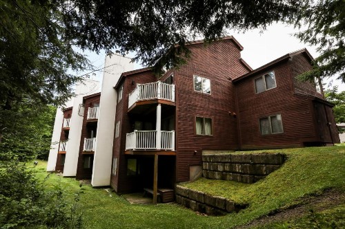 Okemo Mountain Lodging - image 4