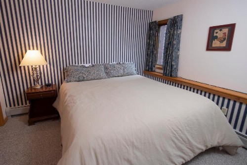 Okemo Mountain Lodging - image 40