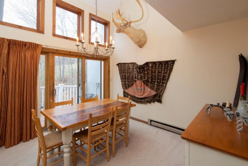 Okemo Mountain Lodging - image 44