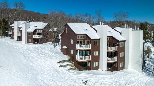 Okemo Mountain Lodging - image 8
