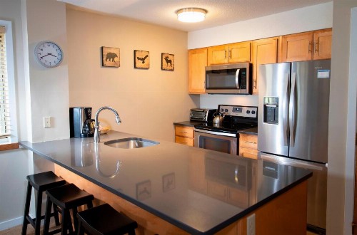 1Br Okemo Mtn Lodge- Remodeled Kitchen & Vintage Ski Decor condo