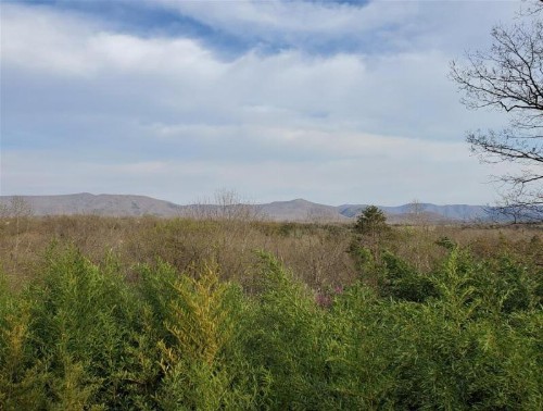 Shenandoah Lodge - image 4