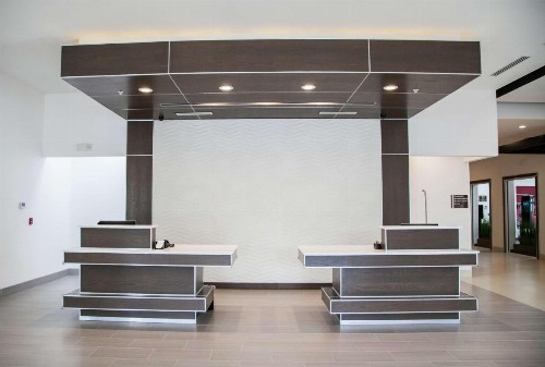 Hilton Garden Inn Tampa Suncoast Parkway - image 10