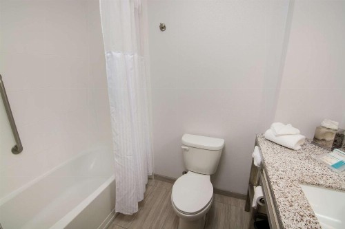 Hilton Garden Inn Tampa Suncoast Parkway - image 11