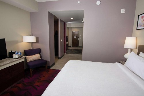 Hilton Garden Inn Tampa Suncoast Parkway - image 12