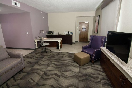 Hilton Garden Inn Tampa Suncoast Parkway - image 13