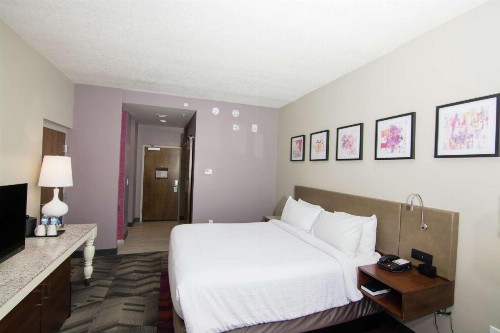 Hilton Garden Inn Tampa Suncoast Parkway - image 17
