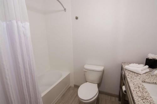 Hilton Garden Inn Tampa Suncoast Parkway - image 2