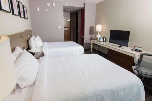 Hilton Garden Inn Tampa Suncoast Parkway - image 21