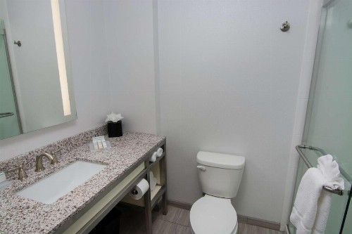 Hilton Garden Inn Tampa Suncoast Parkway - image 23