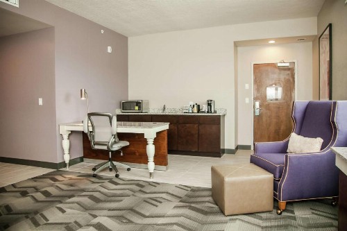 Hilton Garden Inn Tampa Suncoast Parkway - image 25