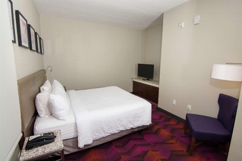 Hilton Garden Inn Tampa Suncoast Parkway - image 27