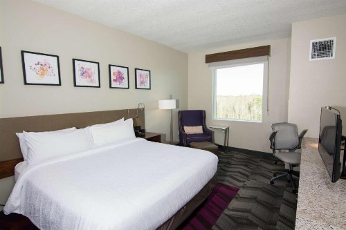 Hilton Garden Inn Tampa Suncoast Parkway - image 28