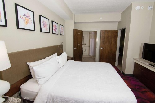 Hilton Garden Inn Tampa Suncoast Parkway - image 29