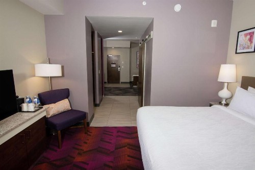 Hilton Garden Inn Tampa Suncoast Parkway - image 3