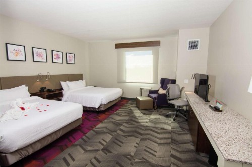 Hilton Garden Inn Tampa Suncoast Parkway - image 33