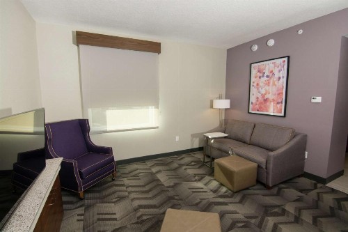 Hilton Garden Inn Tampa Suncoast Parkway - image 36