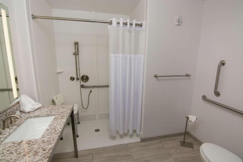 Hilton Garden Inn Tampa Suncoast Parkway - image 38