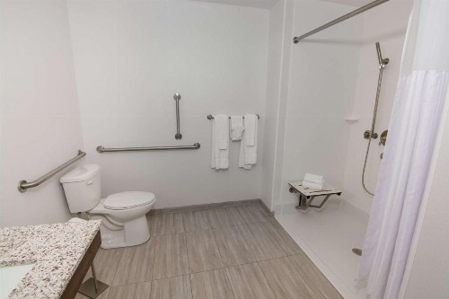 Hilton Garden Inn Tampa Suncoast Parkway - image 6