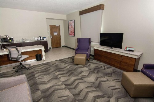 Hilton Garden Inn Tampa Suncoast Parkway - image 7