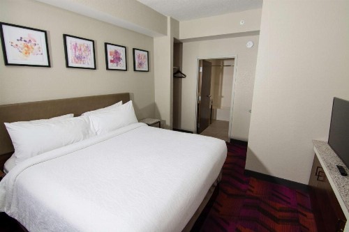 Hilton Garden Inn Tampa Suncoast Parkway - image 8