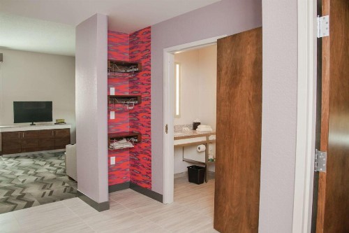 Hilton Garden Inn Tampa Suncoast Parkway - image 9