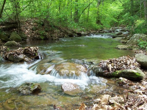 Cabin Creekwood - image 5
