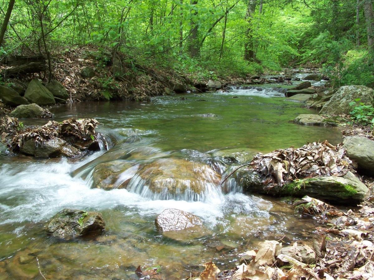 Cabin Creekwood - image 5