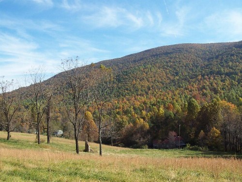 Cabin Creekwood - image 6