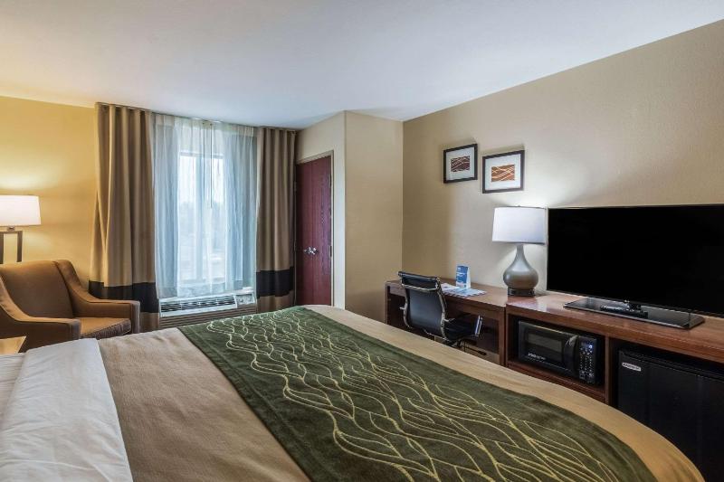 Comfort Inn & Suites Panama City Mall - image 3