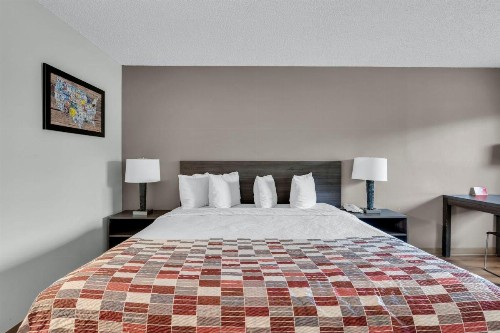 Red Roof Inn MacClenny - image 17