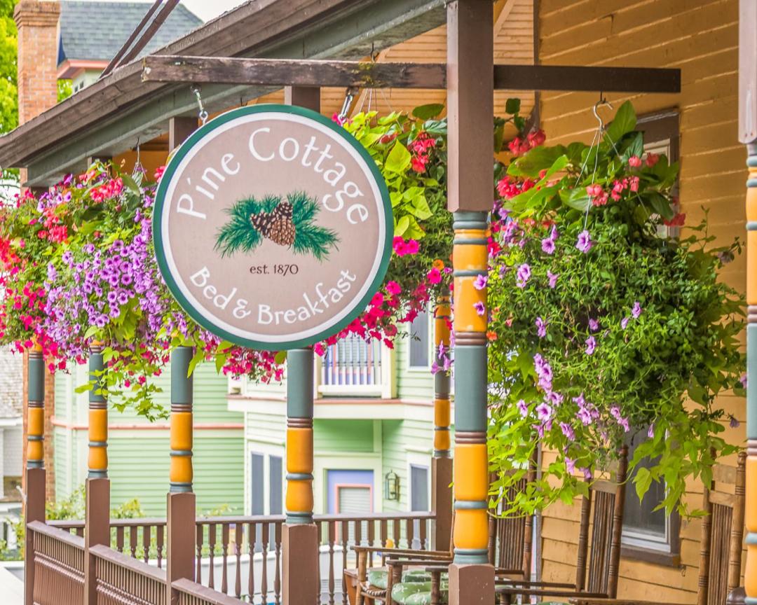 Pine Cottage Bed & Breakfast - main image