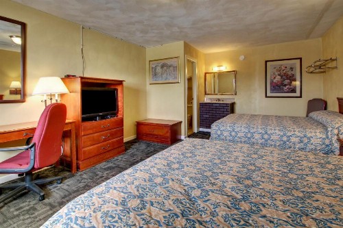 Star Motel - image 7