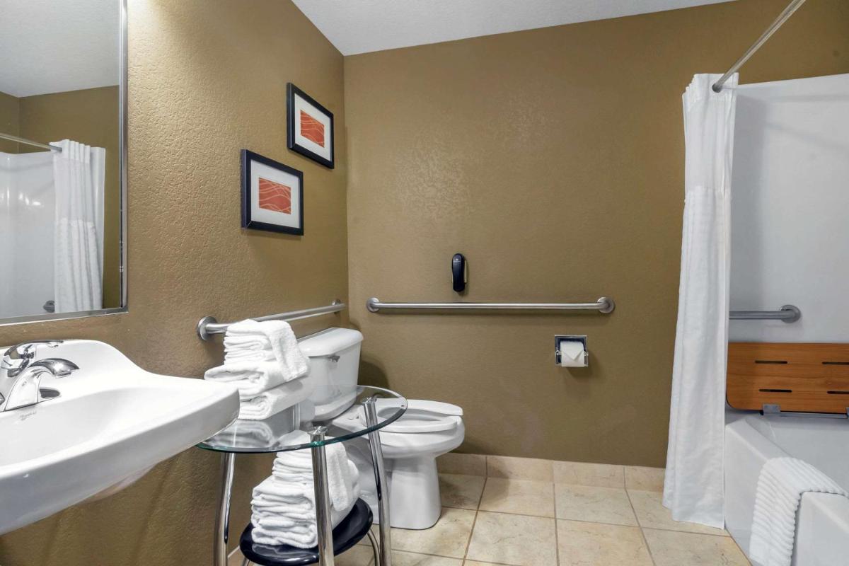 Comfort Inn & Suites Macon - image 2