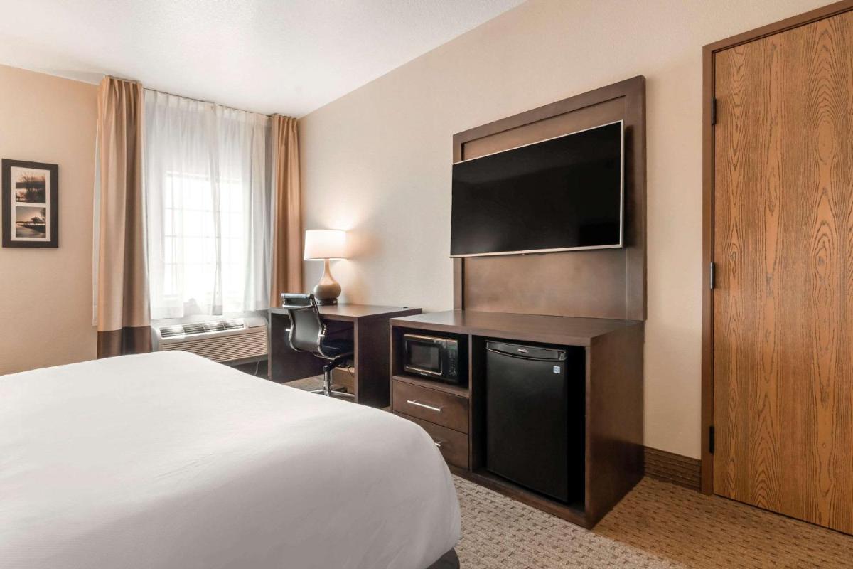 Comfort Inn & Suites Macon - image 3