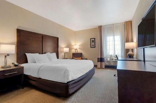 Comfort Inn & Suites Macon - image 5