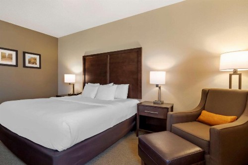 Comfort Inn & Suites Macon - image 8