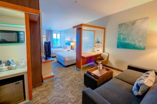 SpringHill Suites by Marriott Macon - image 4