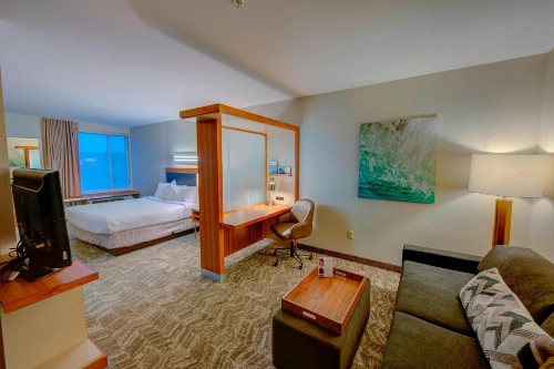 SpringHill Suites by Marriott Macon - image 7