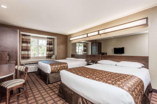 Microtel Inn & Suites by Wyndham Macon - image 11