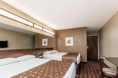Microtel Inn & Suites by Wyndham Macon - image 13