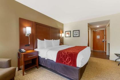 Comfort Inn & Suites Macon West - image 9