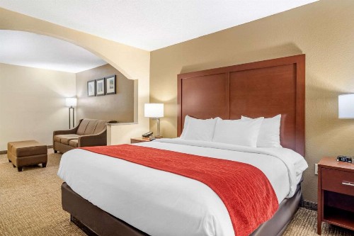 Comfort Inn & Suites Macon North I-75 - image 2