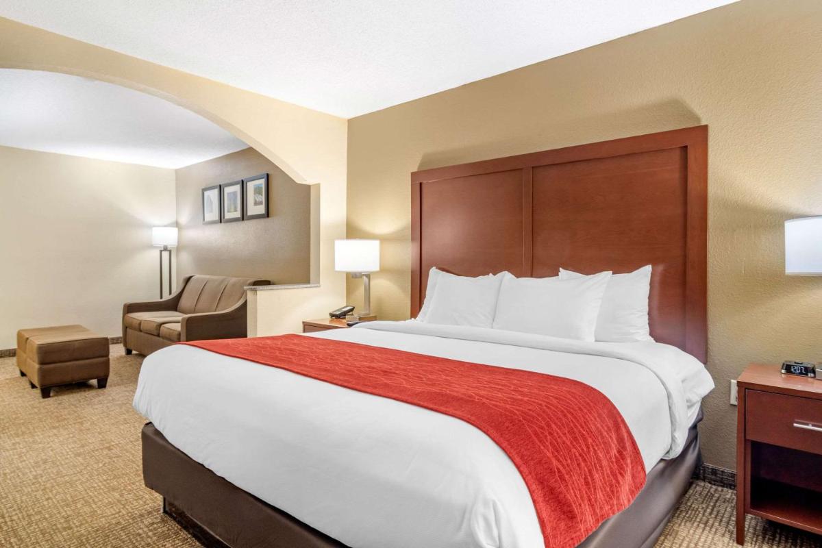Comfort Inn & Suites Macon North I-75 - image 2